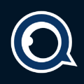 Birdsview company logo